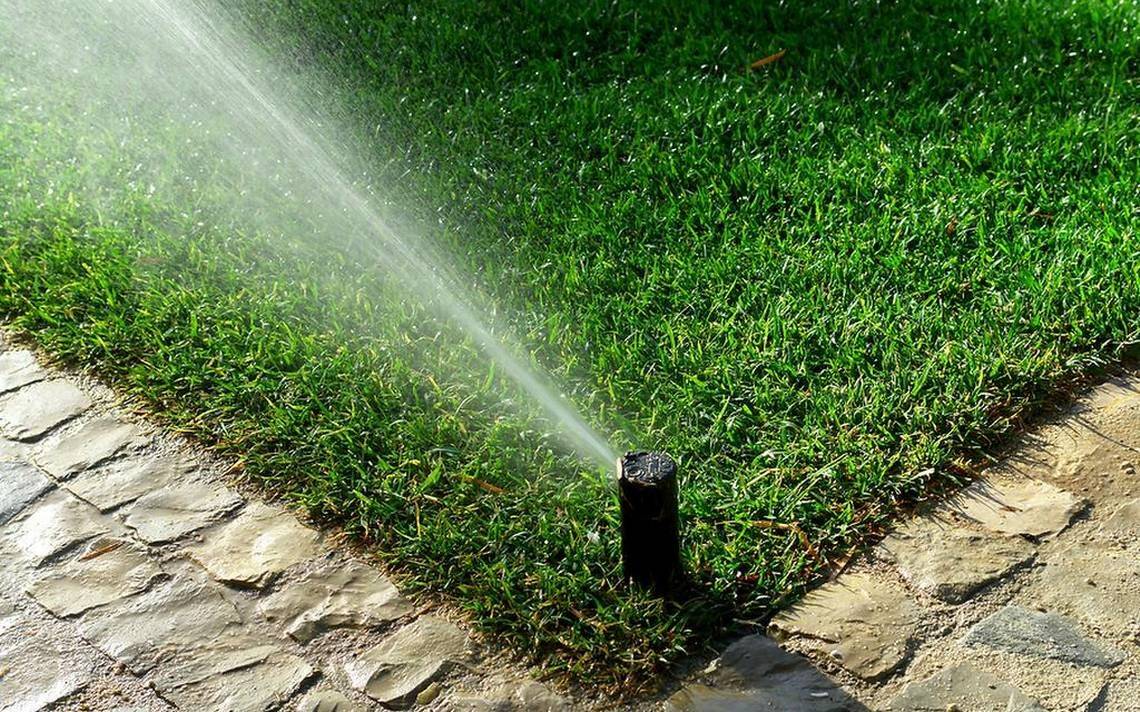 L'importance de l'arrosage efficace : économiser l'eau tout en gardant votre jardin en bonne santé !
